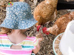 learn responsibility and life skills in meerilinga cockburns early learning program. pre-kindy for 2.5 to 4 yr olds, early learning is so much more than just childcare