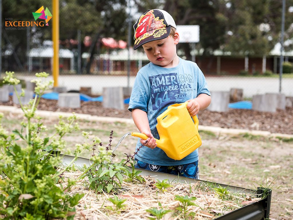 our high wycombe early learning program offers quality sustainability practices and teaches children responsibility in the pre-kindy class. A wonderful alternative to childcare - the award winning high wycombe team are unbeatable!